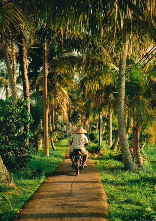 夕暮れ時、ヤシの木に囲まれた道を奥に向かってバイクで走る男性